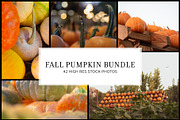 Fall Pumpkin Stock Bundle, a Holiday Photo by r.r.palacios (Thumbnail 1 of 15)