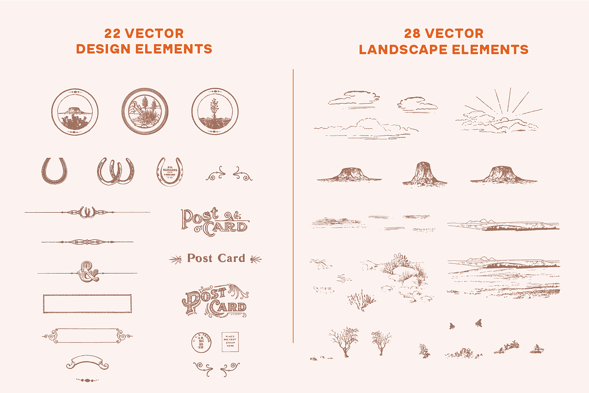 Vintage Cactus Vector Graphics, a Graphic by Antiquaria (Photo 5 of 7)