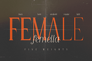 Queen Serif - 10 fonts, a Serif Font by FactoryType Studio (Thumbnail 2 of 10)