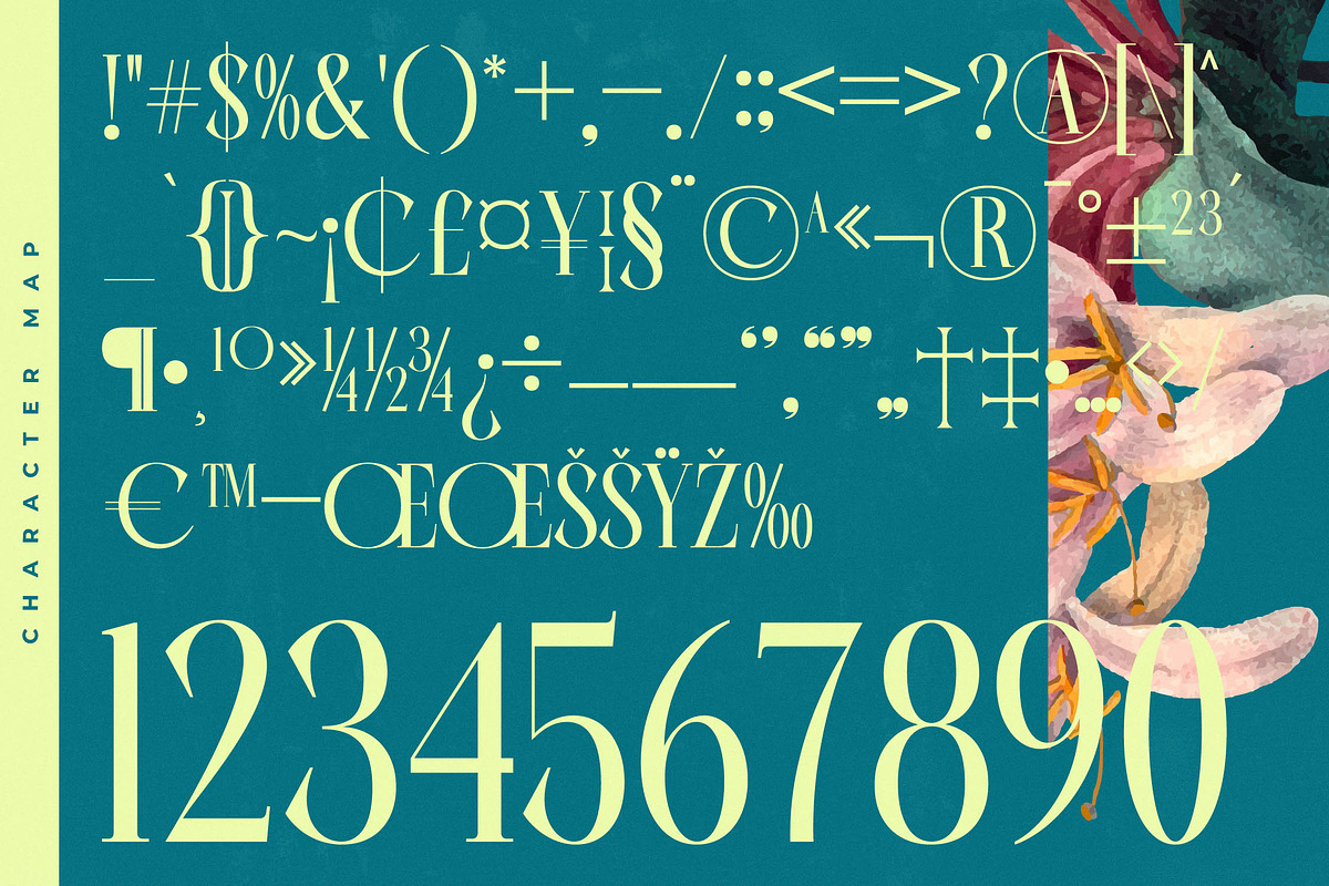Balliome Modern Serif Typeface, a Serif Font by timelesstype.co (Photo 18 of 20)