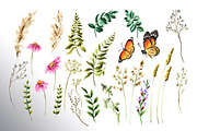 Wildflowers, a Decorative Illustration by Daria Ustiugova (Thumbnail 13 of 14)