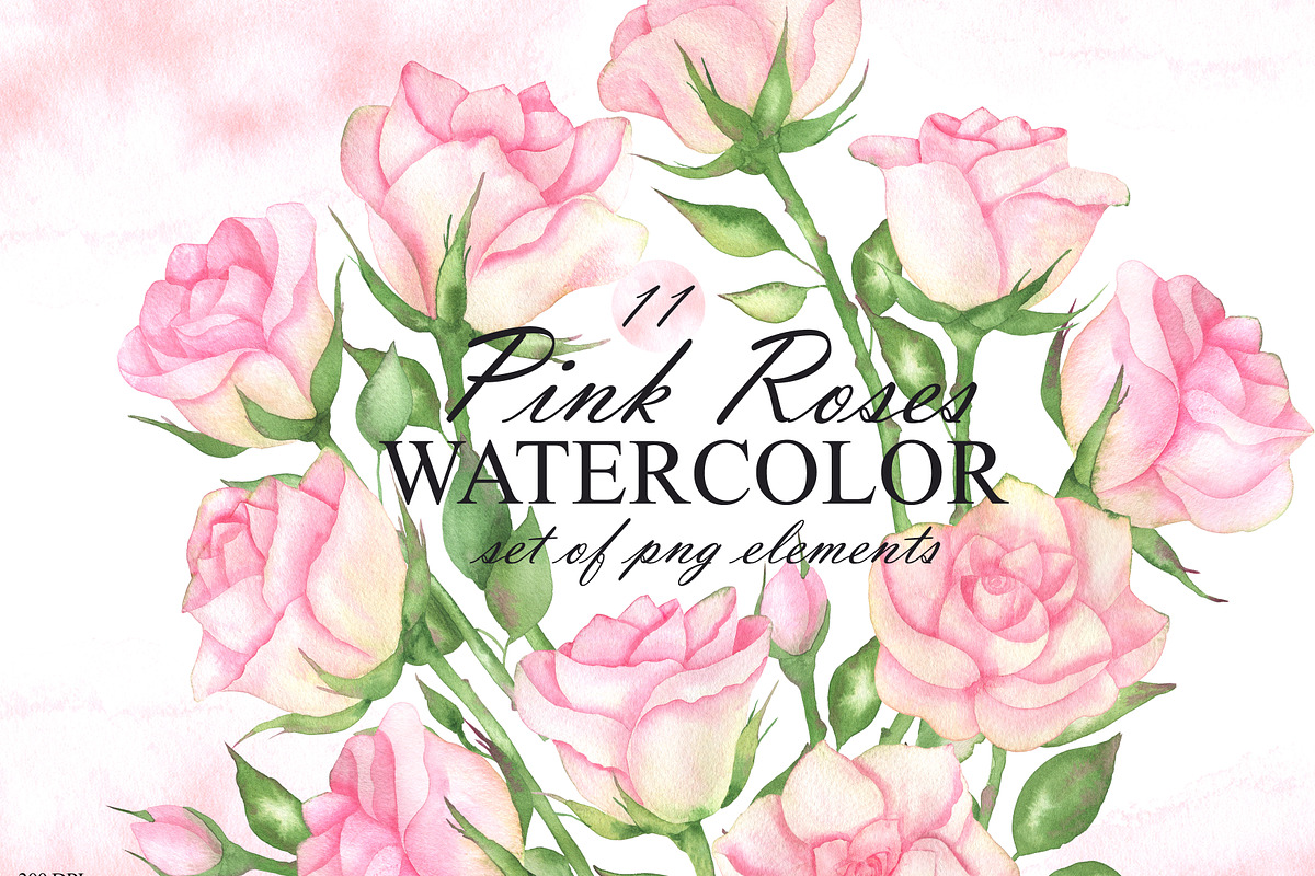 Watercolor pink roses and leaves, an Illustration by OlDm_Shop (Photo 1 of 10)