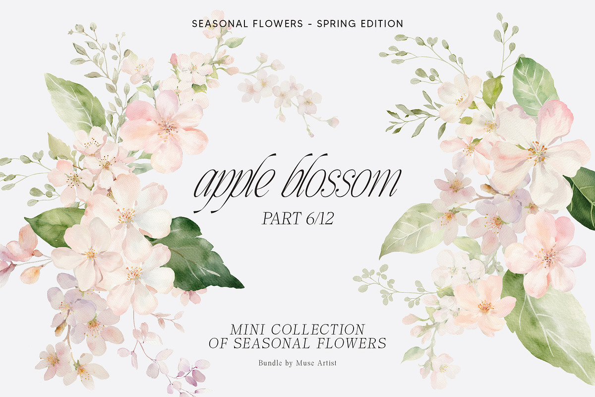 SPRING BOX Watercolor Bundle 400+, a Decorative Illustration by Muse Artist (Photo 44 of 99)