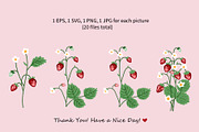 Wild Strawberry Plant Set Drawing, an Object Graphic by Toltemara (Thumbnail 2 of 3)