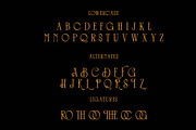 Aureli Vintage Display Font, a Serif Font by Luna Shop (Thumbnail 4 of 10)