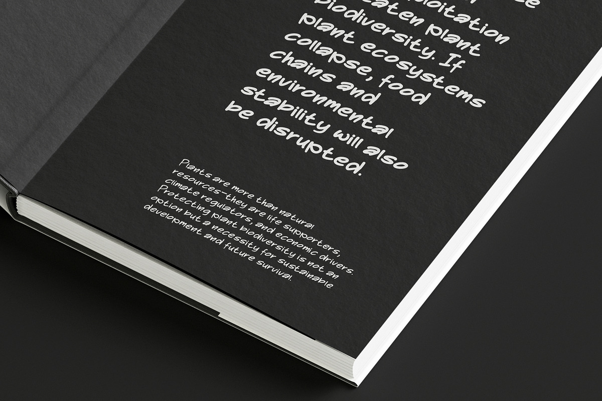 Bencord - Editorial Handwriting Font, a Handwritten Font by Graphicfresh (Photo 5 of 10)