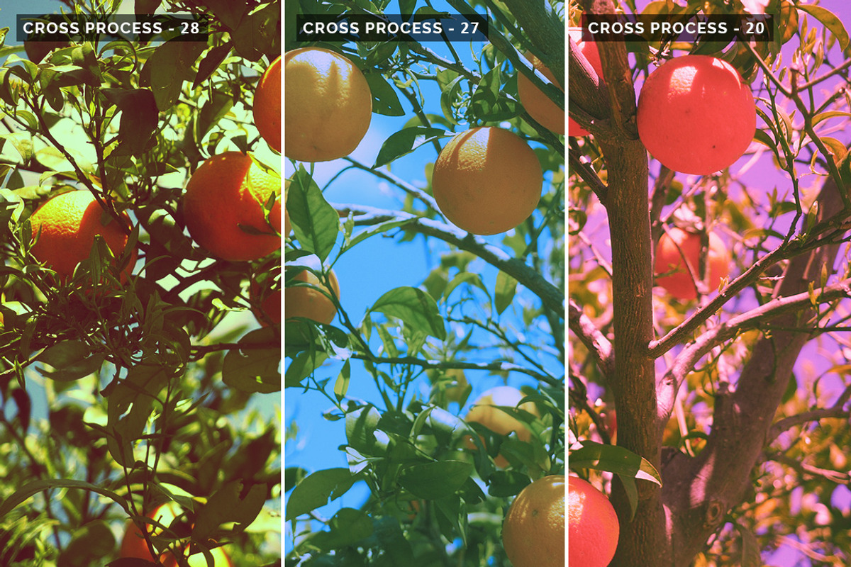Cross Processing - Photoshop Action, an Action Add-On by Nostal Studio (Photo 4 of 8)