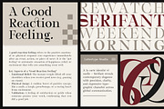 Serifant Family | Intro 50% OFF, a Serif Font by Lettertype Studio (Thumbnail 4 of 15)
