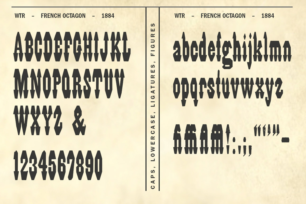 French Octagon preview 3