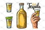Tequila. Illustrations and posters, an Illustration by MoreVector (Thumbnail 3 of 11)