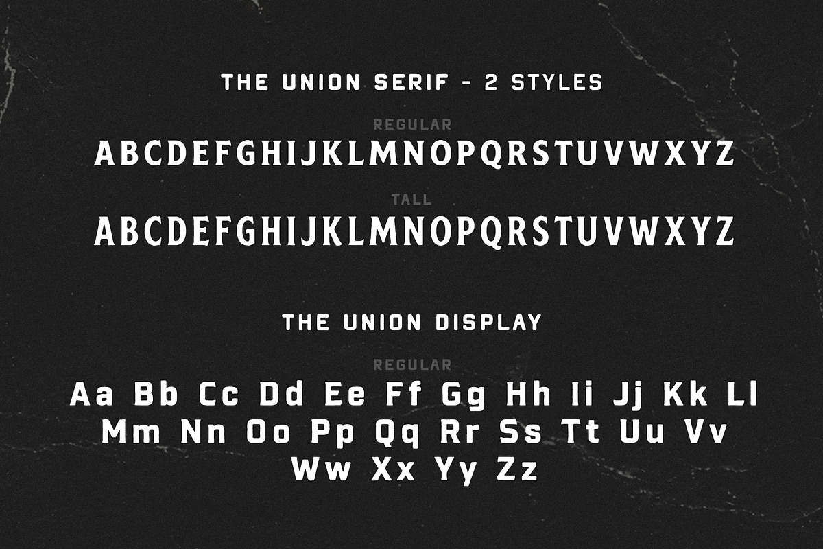 The Union Font Bundle + Extra, a Handwritten Font by Davide Bassu (Photo 16 of 16)