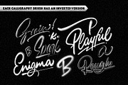 The Grainers Brush Set, a Brush Add-On by Shoutbam (Thumbnail 11 of 15)