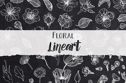 Floral Lineart