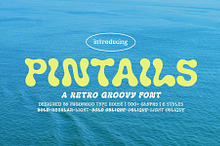 Pintails Display Font