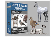 120 Pet/Farm Animals Photo Overlays, an Animal Photo by KenScape (Thumbnail 1 of 4)