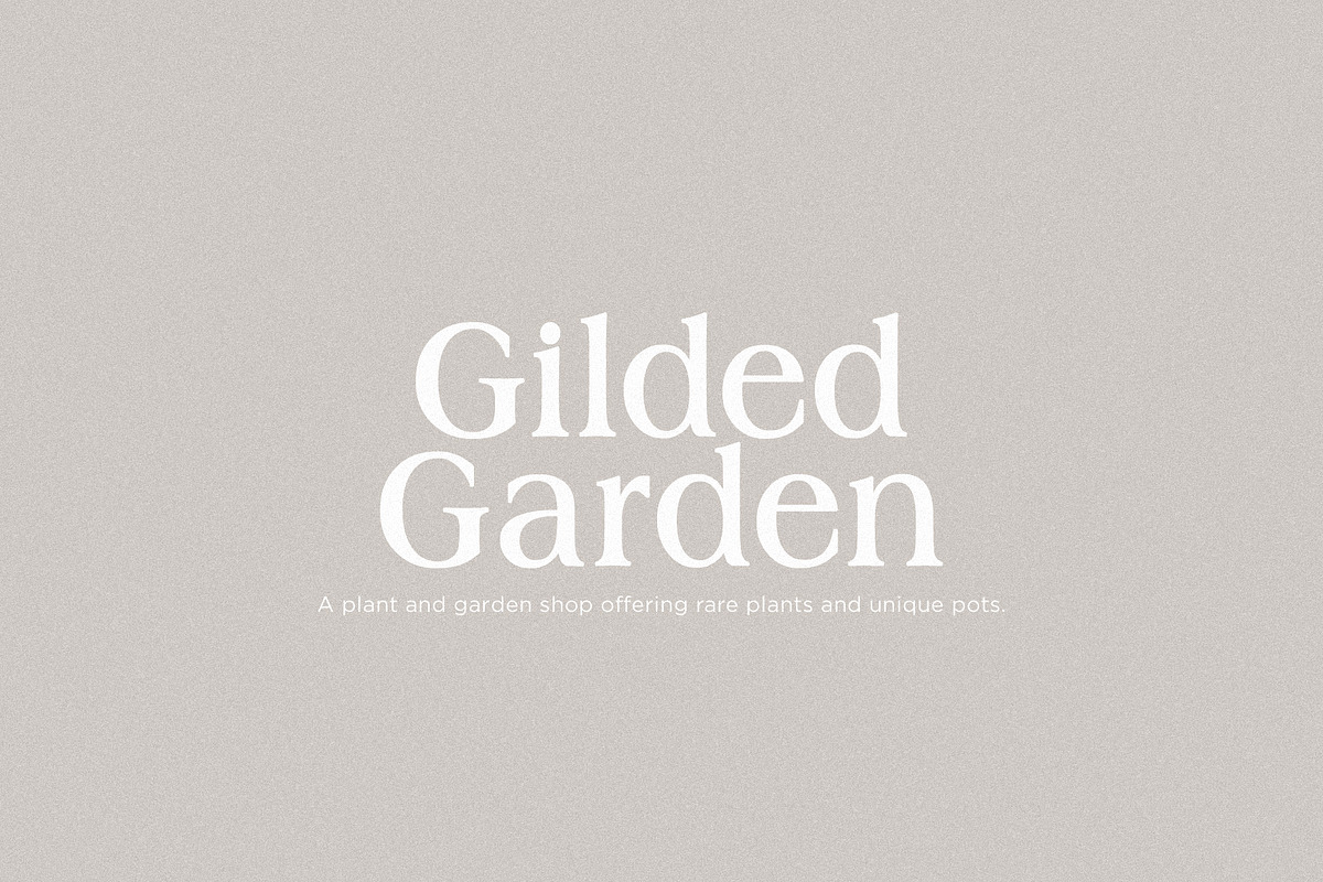 Horizon - Modern Serif, a Serif Font by Schrifted Type (Photo 4 of 8)