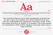 Relica - Serif font family, a Serif Font by Artistic & Unique (Thumbnail 7 of 15)