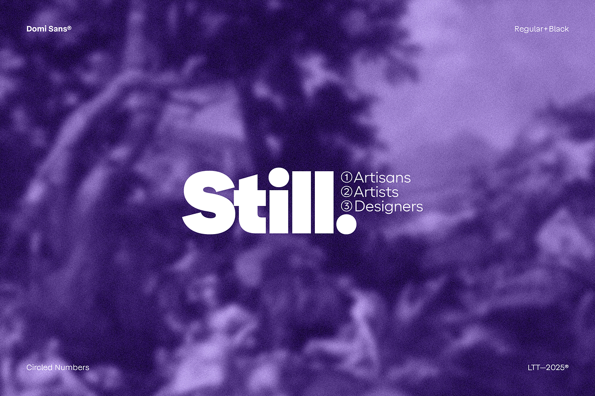 Domi, a Sans Serif Font by Latinotype (Photo 3 of 14)