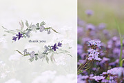 Watercolor Wildflower Clipart Set, an Illustration by Patishop Art (Thumbnail 23 of 23)