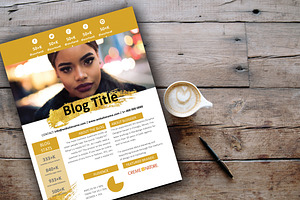 Gold Splash Media Kit - 2