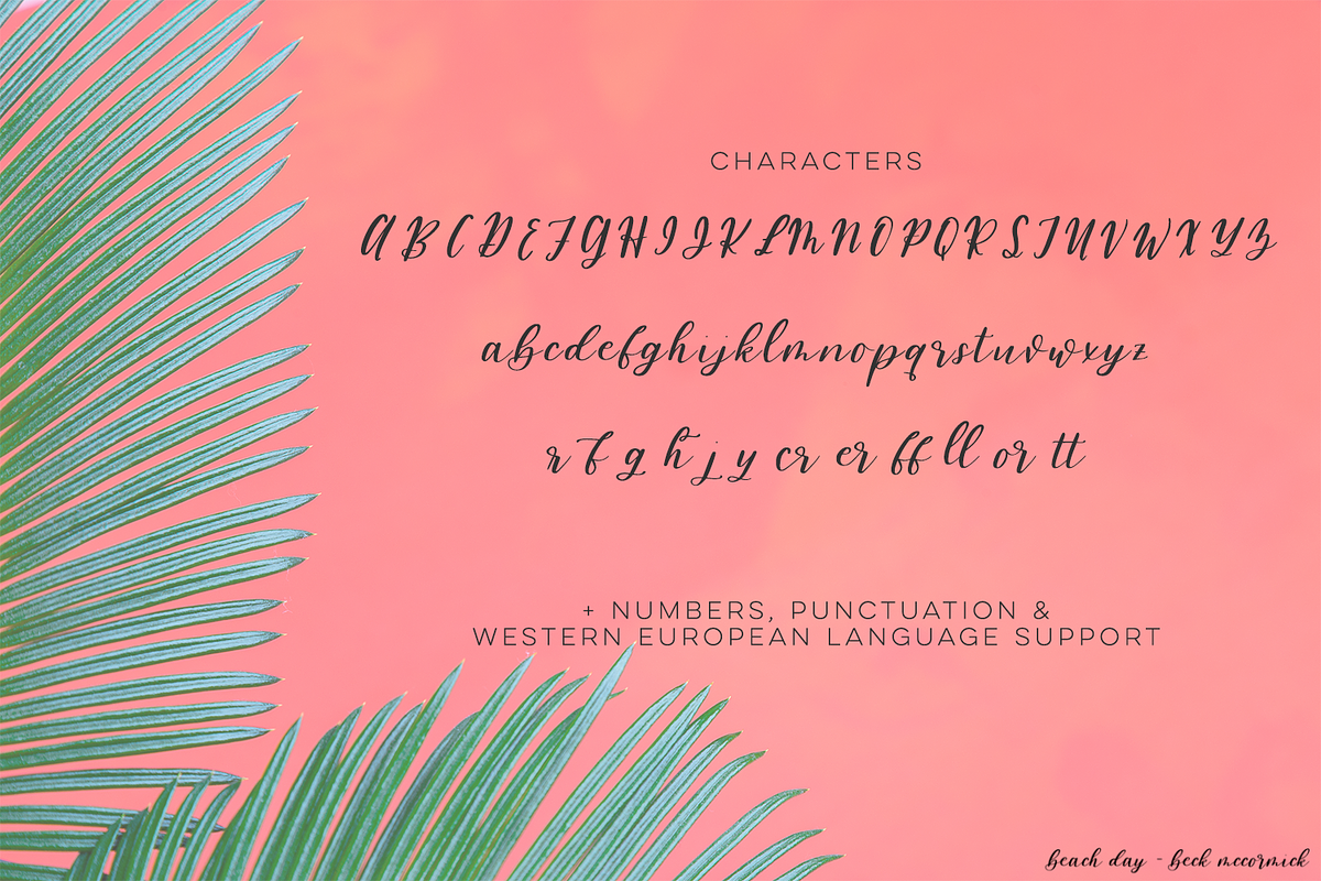 Beach Day Script, a Script Font by Beck McCormick (Photo 10 of 11)