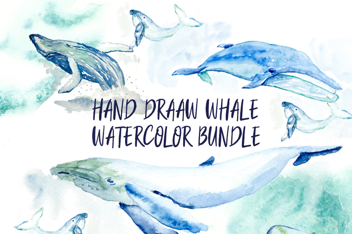 Hand-drawn watercolor whale bundle, an Object Graphic by Natsuhisui (Photo 1 of 9)