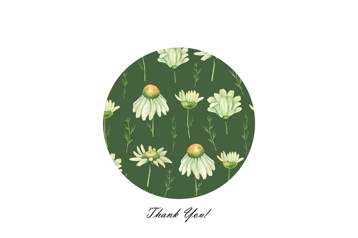 Watercolor Daisy Seamless Patterns, an Illustration by OlDm_Shop (Photo 10 of 10)