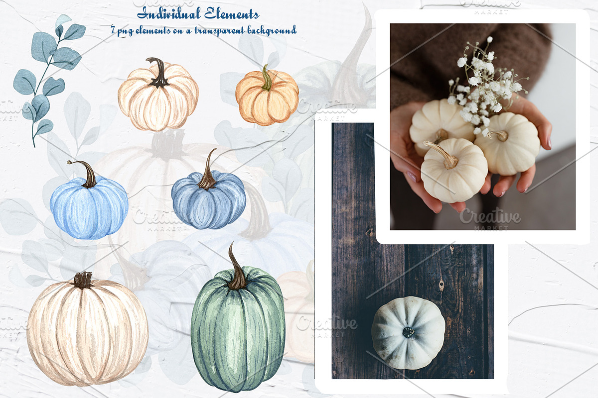 Blue Pumpkins Watercolor Clipart, a Food Illustration by BarvArt (Photo 3 of 6)