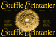 Yellow House | Hybrid Font, a Serif Font by Ef Studio (Thumbnail 11 of 11)