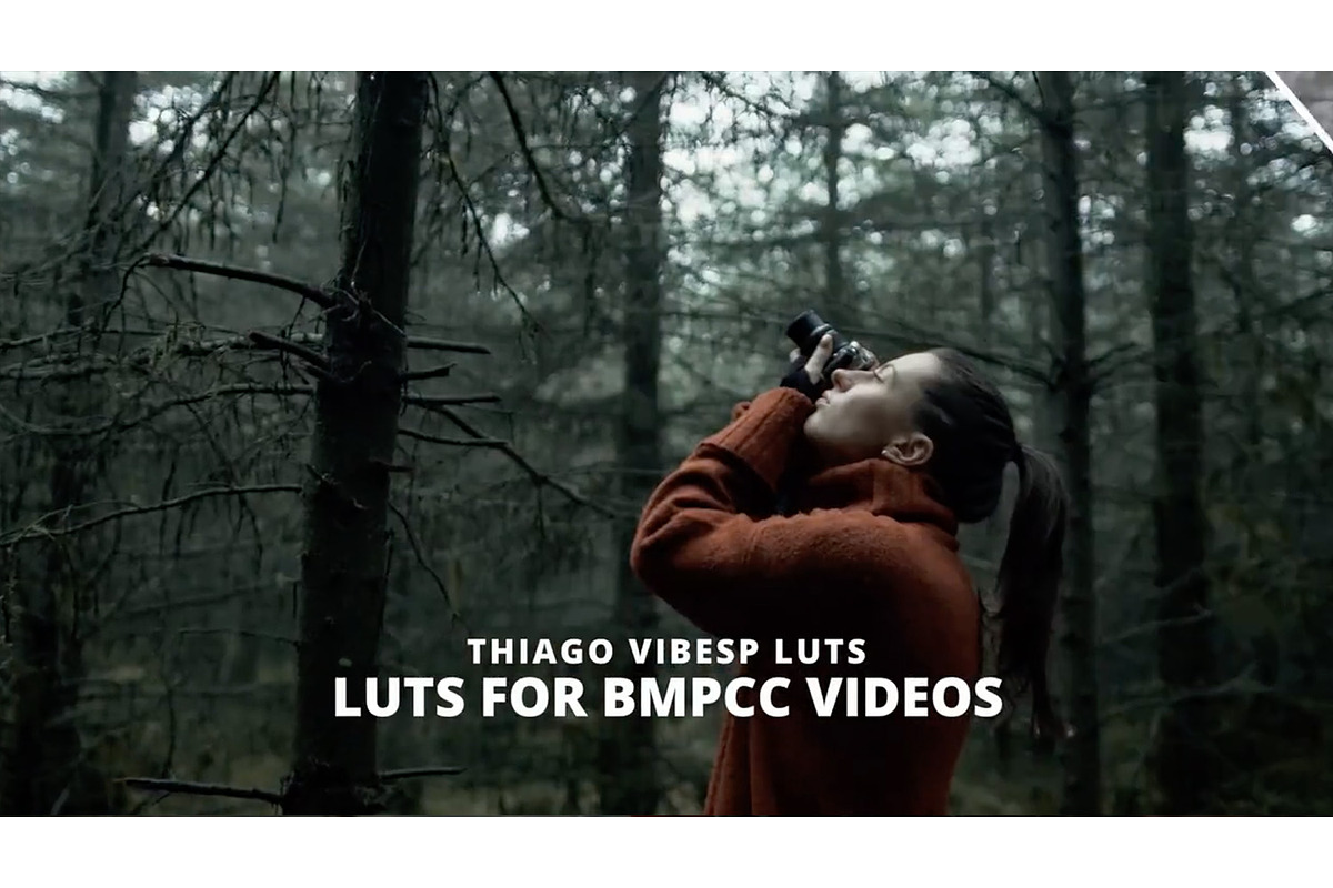 Cinematic BMPCC 4K and 6K LUTs, a Preset Add-On by Creative House (Photo 3 of 4)