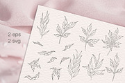 Peony procreate stamps, cliparts, a Brush Add-On by Veronika Gotovceva (Thumbnail 3 of 8)