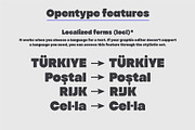 YNF Romero | Display sans serif, a Sans Serif Font by YNF (Thumbnail 12 of 21)