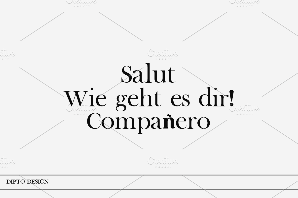 Clari- A fashionable font, a Serif Font by Dipto design (Photo 5 of 6)