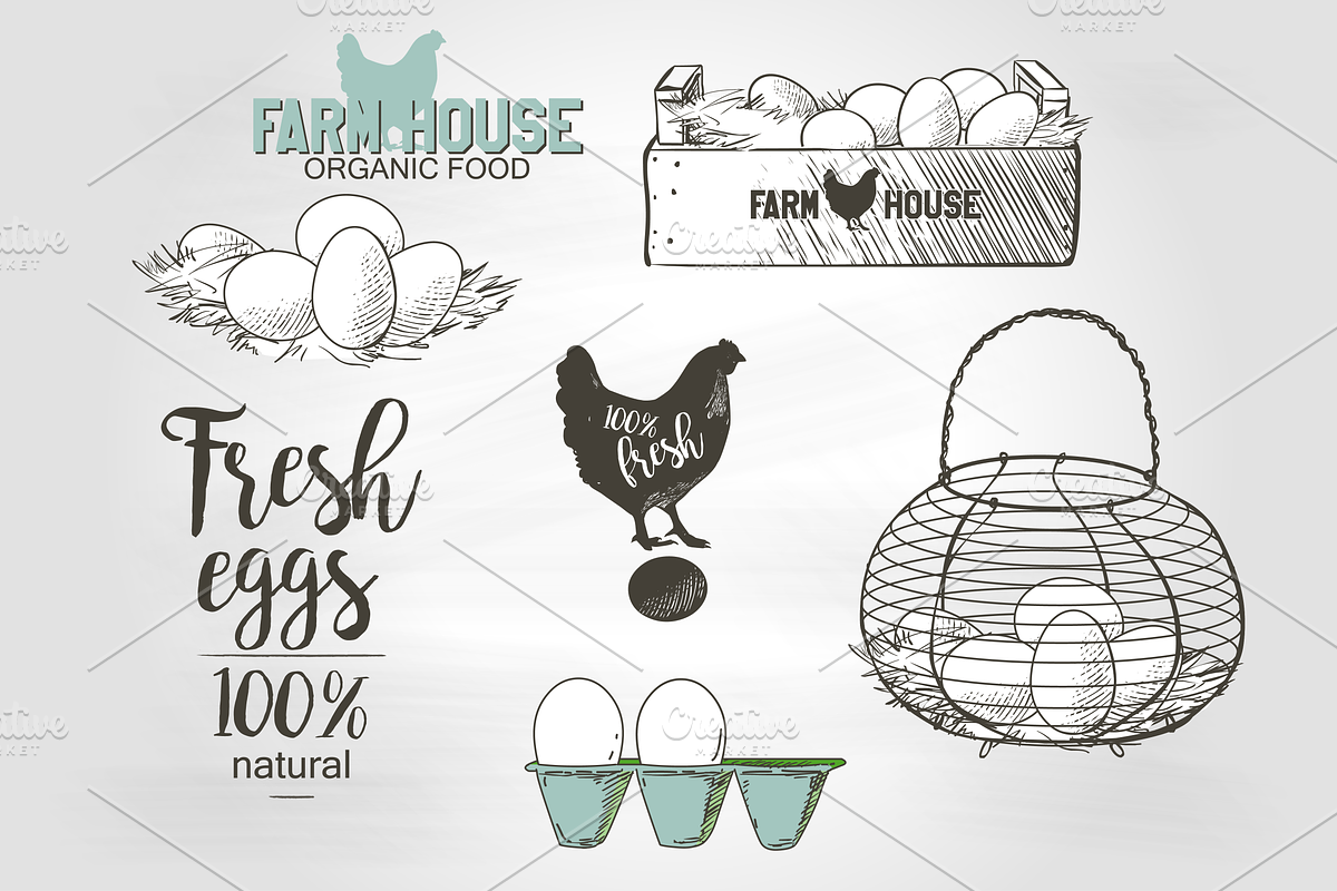 Eggs Hand drawn Vector set, an Illustration by Alltruecolours (Photo 2 of 5)