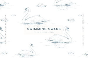 Swimming Swans