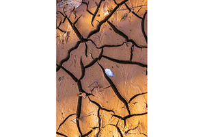 Cracked Earth. An arid landscape
