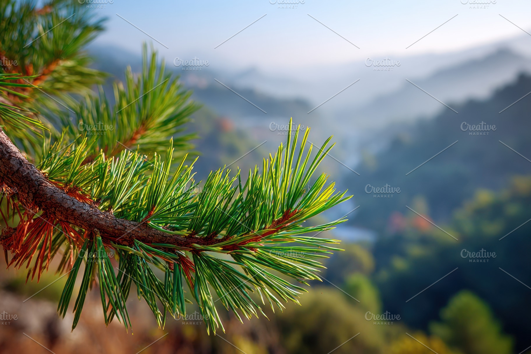 Breathtaking mountain landscape with pine trees, a Nature Photo by AlyaAnd
