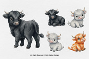 15 Bundle Watercolor Highland Bufalo, an Animal Illustration by Morspective (Thumbnail 6 of 8)