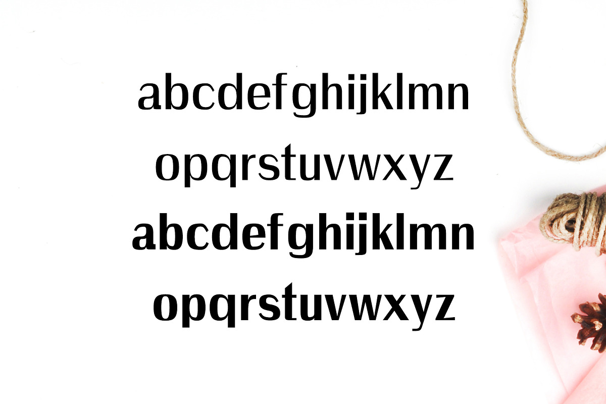 Wrenn Sans Serif 6 Font Family preview 2