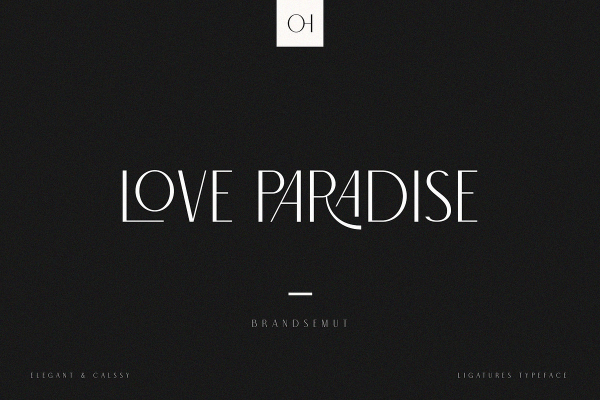 Ligature Font BUNDLE, a Serif Font by BrandSemut (Photo 50 of 70)