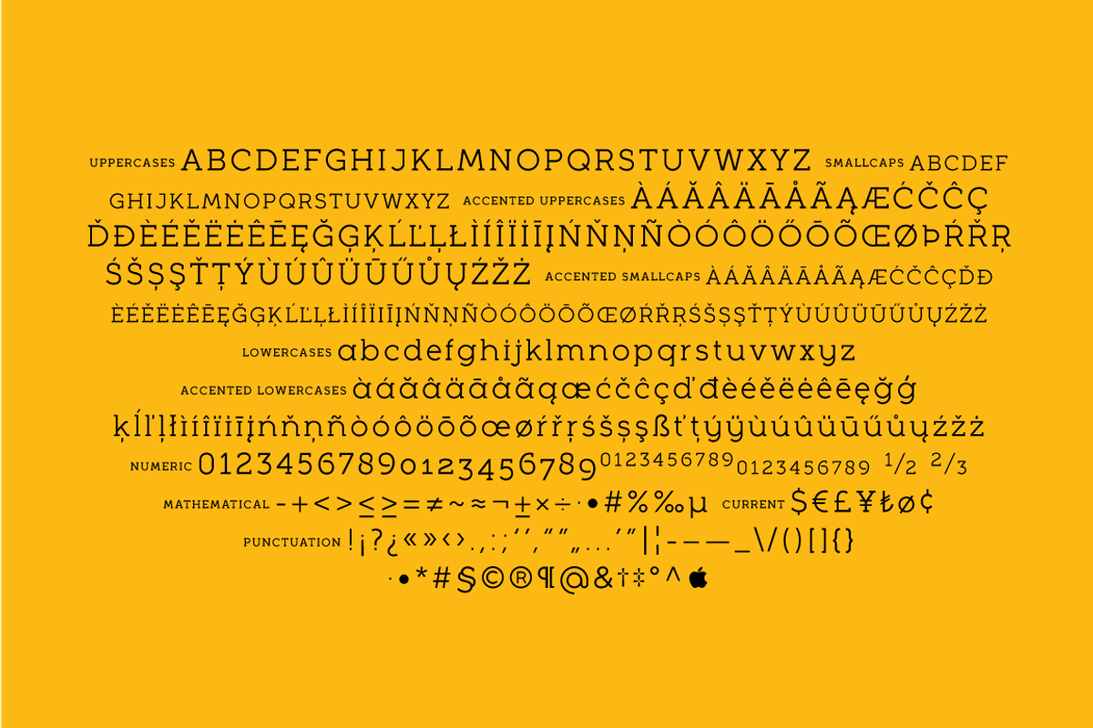 Full Slab, a Slab Serif Font by BULENT YUKSEL (Photo 9 of 10)