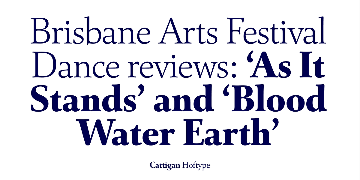 Cattigan, a Serif Font by Hoftype (Photo 7 of 15)