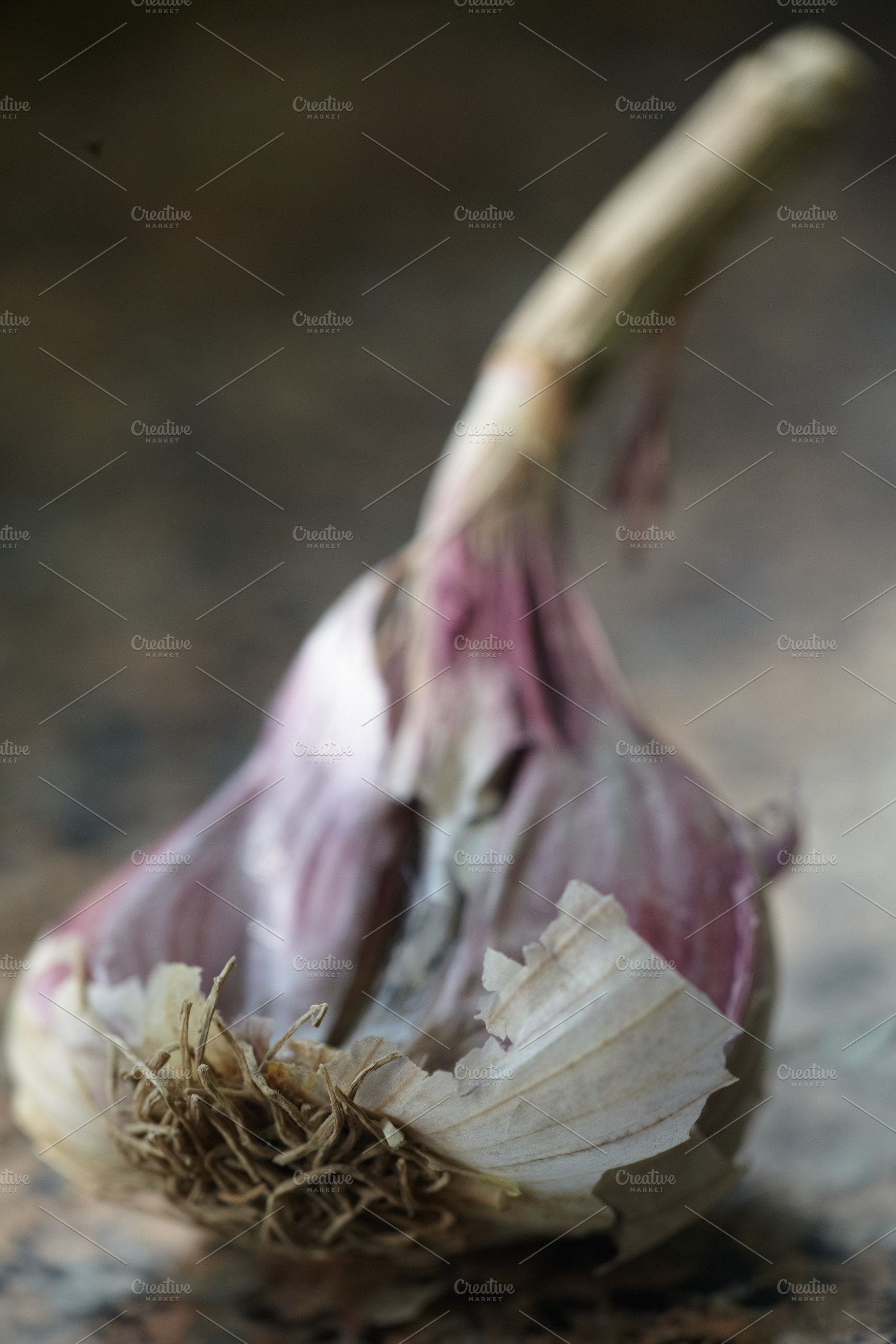 Whole raw garlic bulb with stalk on a dark textured background. Organic garlic, a Nature Photo by Rohan Photography