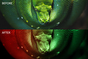 15 Duo Color Photoshop Actions preview 5