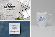 BUNDLE 100 Template Logos & Elements, a Branding & Logo Template by Decorus Extezy (Thumbnail 8 of 16)