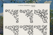 Frames & Ornaments. Vintage Pack, a Decorative Illustration by heyXeni (Thumbnail 6 of 7)