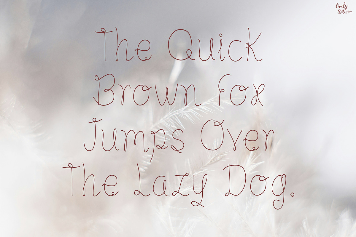 Dreamy | Handwritten Font, a Handwritten Font by LivelyAutumn11.11 (Photo 4 of 5)
