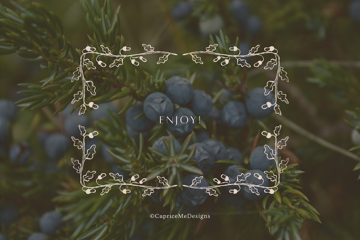 Autumn botanical hand-drawn graphics, a Decorative Illustration by CapriceMeDesigns (Photo 11 of 11)