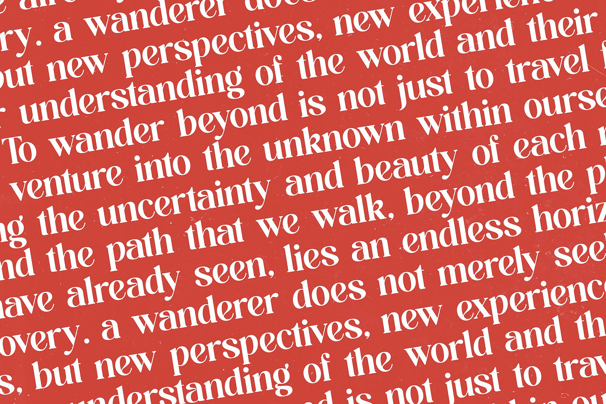 Beyond Wandler Modern Serif Font, a Serif Font by timelesstype.co (Photo 17 of 20)