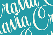 Orchidia, a Script Font by Dm Studio (Thumbnail 4 of 11)